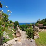 Orso * Arzachena